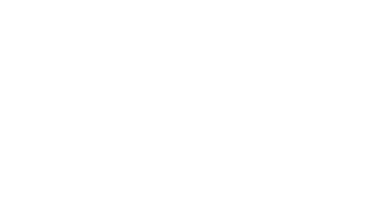 Chic Essentials